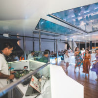 Party Catamaran 111