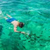 Snorkeling at Phi Phi Islands