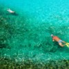 Racha Islands