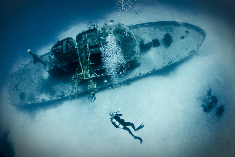 Types of diving: wreck diving