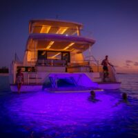 Leopard 53 Power Catamaran