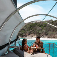 Sailing Catamaran 74
