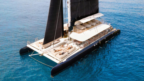 Party Catamaran Phuket: aerial view