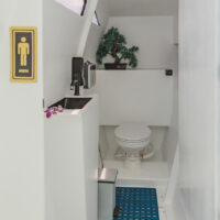 Party Catamaran 55